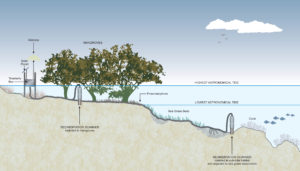 Schematic_with sedimentation ...